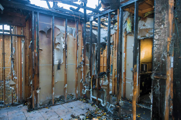 Professional Soot Cleanup technician working in Concord, CA